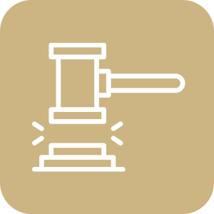 Expertise - Commercial & Civil Litigation